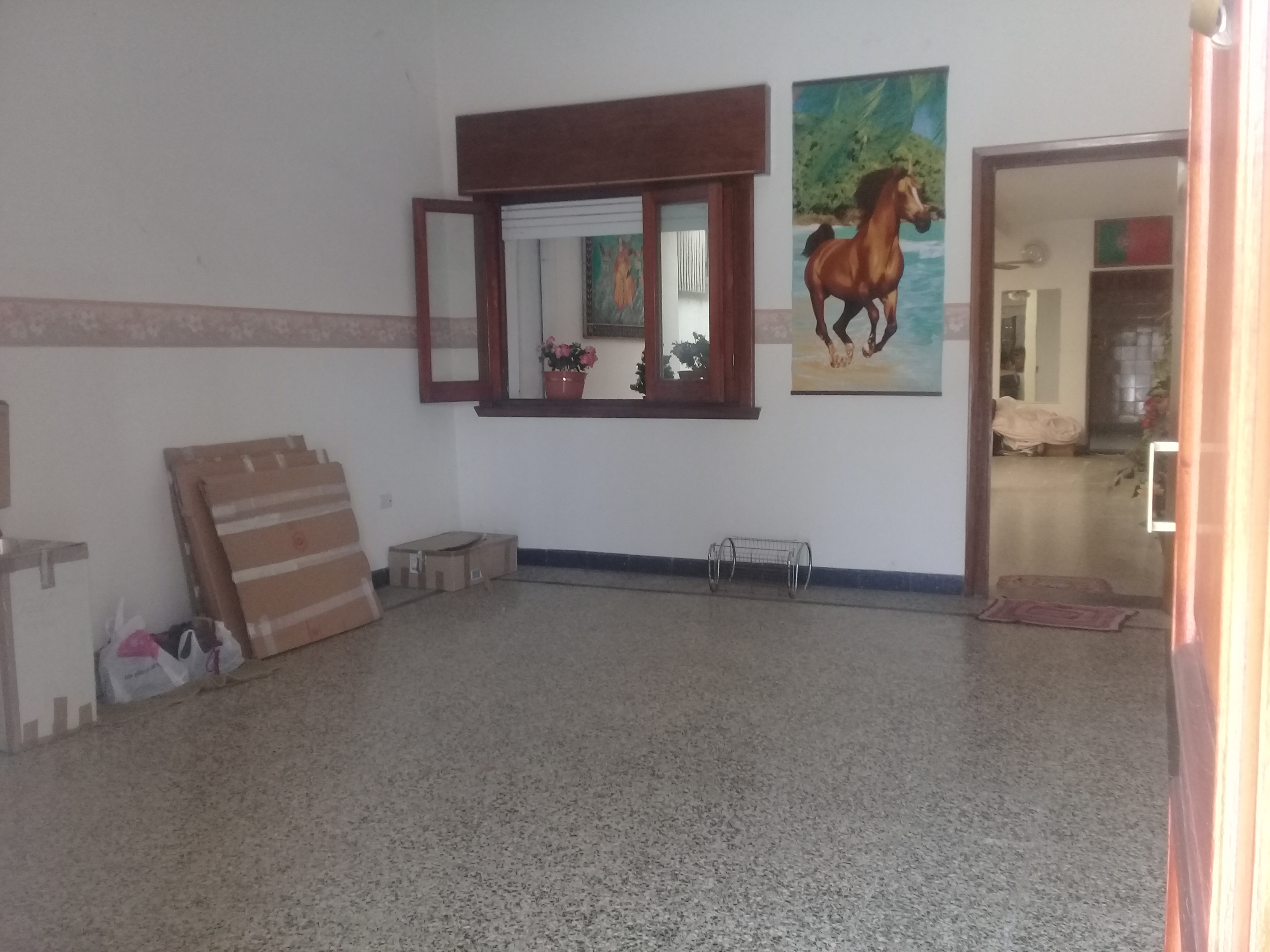 Imagen adicional 1