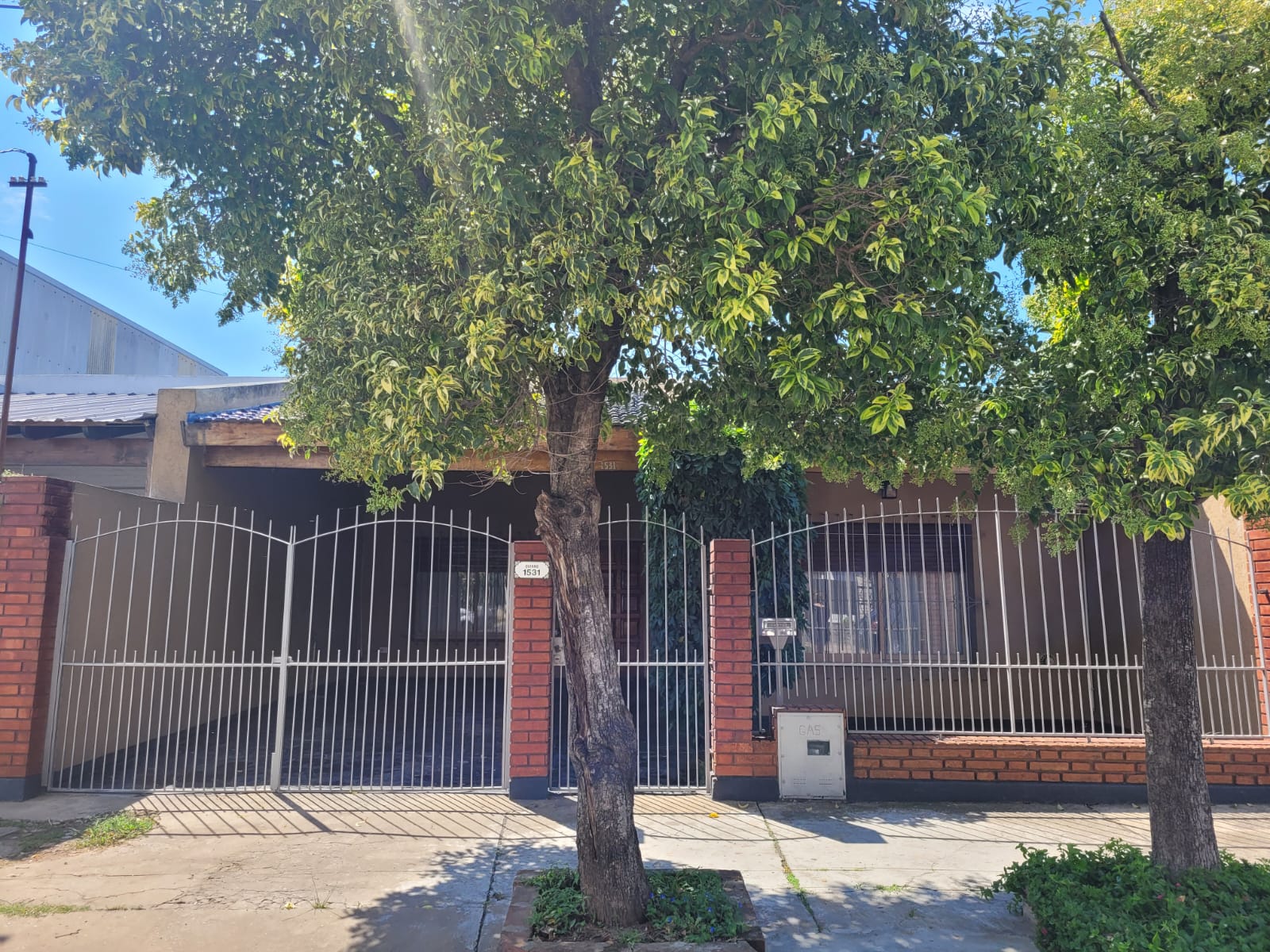 Quirno 1531